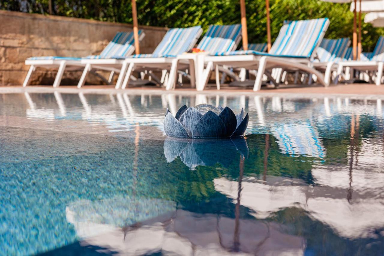 Terra Hotel Bansko Exteriér fotografie